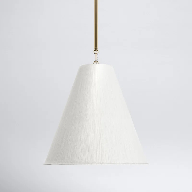Newton 1 - Light Single Cone Pendant | Wayfair North America