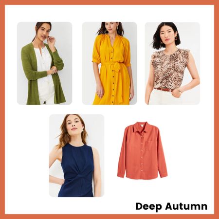 #deepautumnstyle #coloranalysis #deepautumn #autumn

#LTKworkwear #LTKunder100 #LTKSeasonal