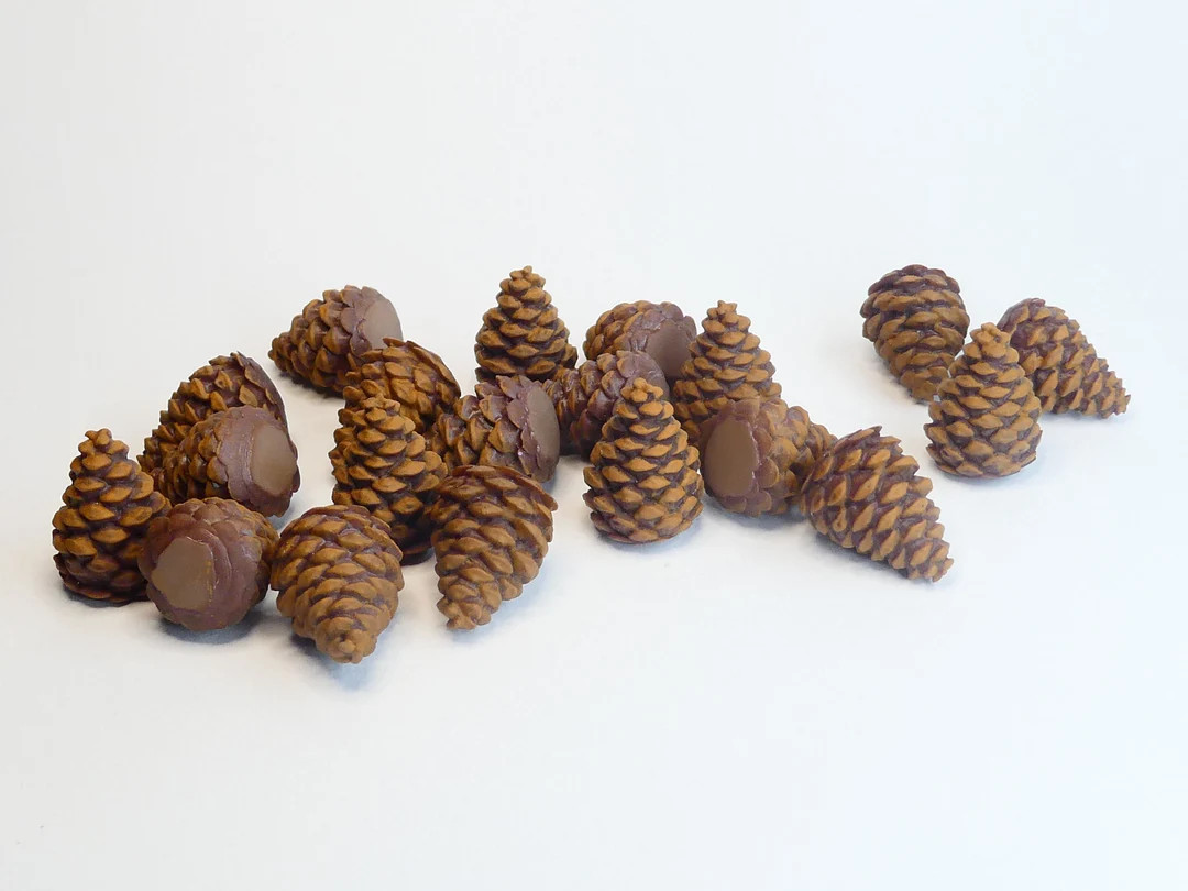 Resin Pinecones for Cascadia and Cascadia Landmarks - Etsy Canada | Etsy (US)