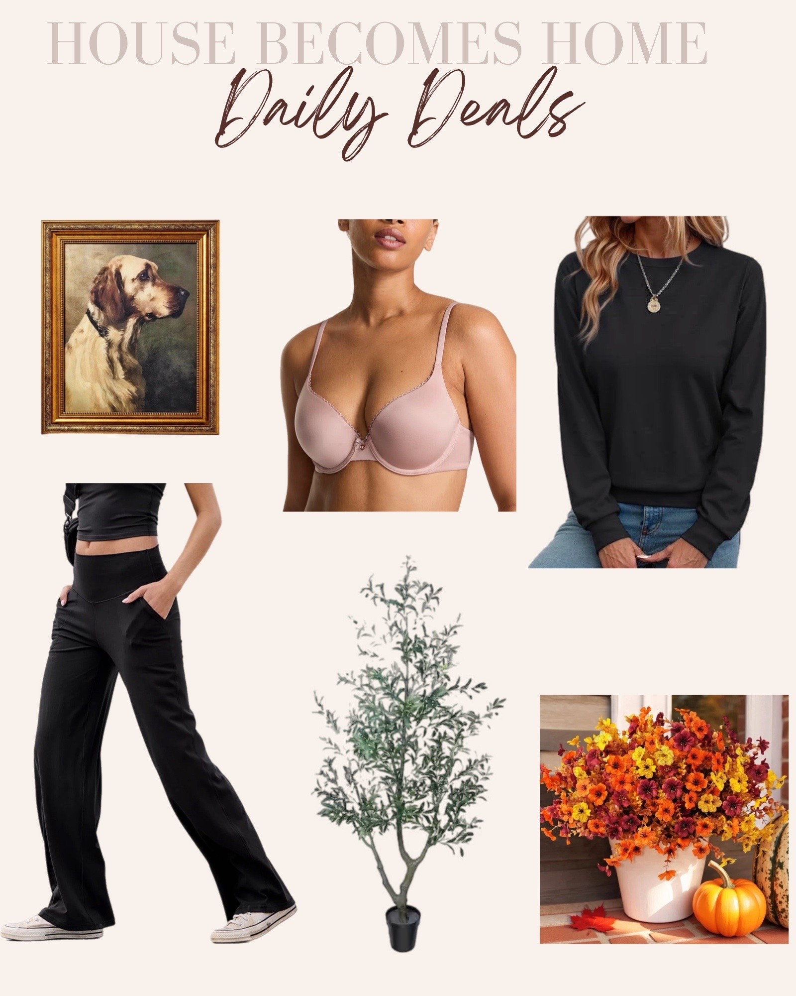Daily deals!!!


Studio McGee, Victoria’s Secret, Aerie, fall flowers

#LTKHome #LTKSaleAlert #LTKSeasonal