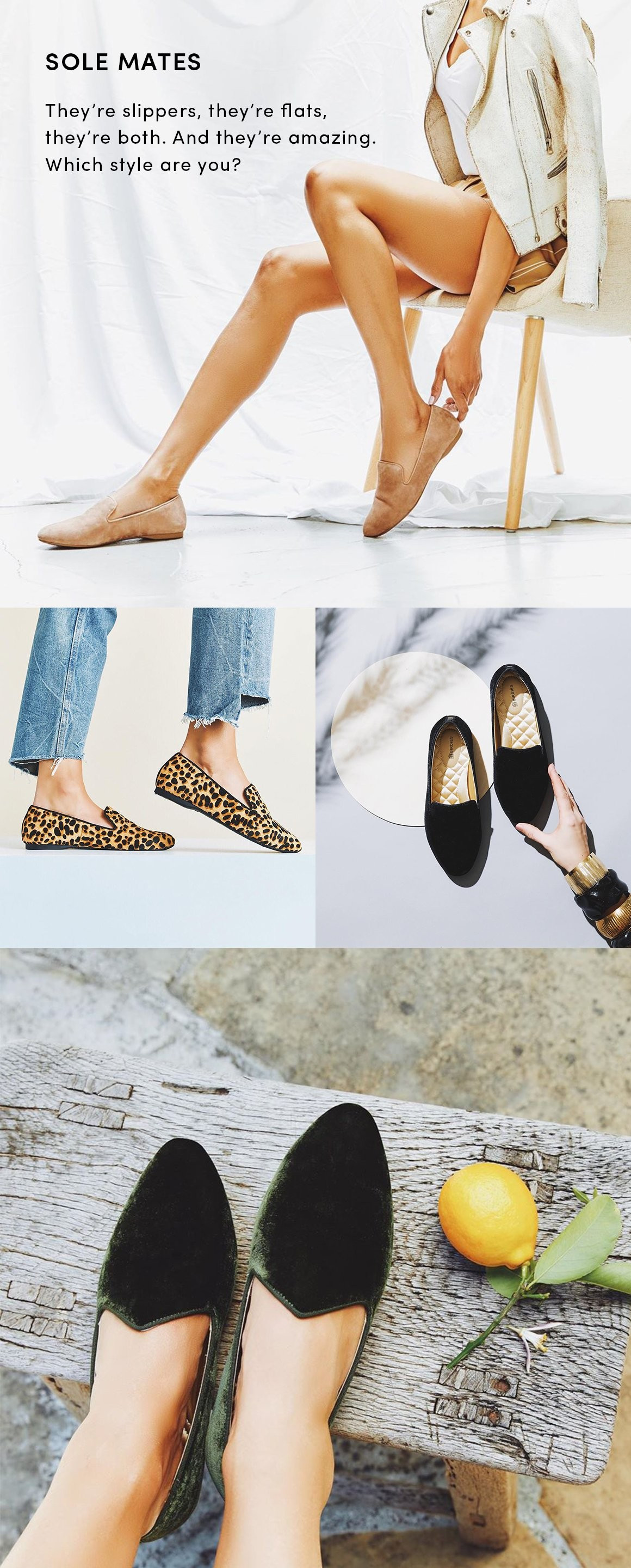 The Starling - Black | BIRDIES