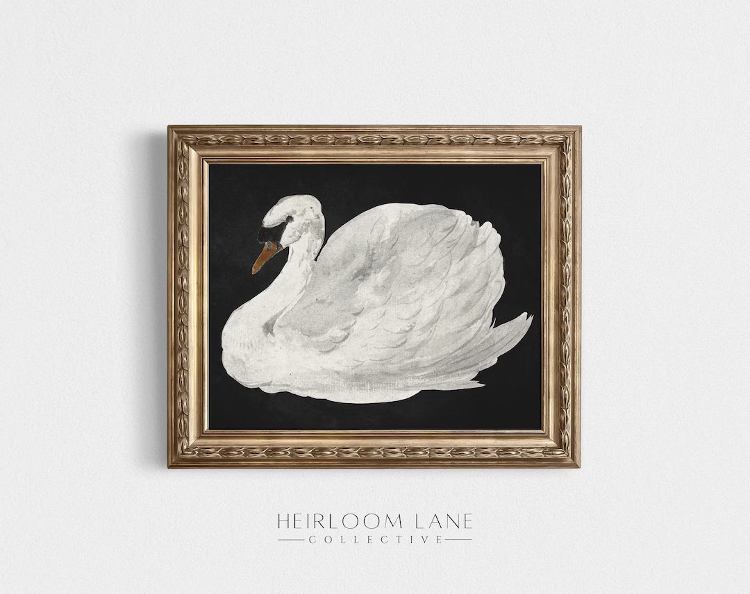 Vintage Swan Print Art | Minimal Swan Drawing Print | Classy Valentine's Day Print Artwork | Swan... | Etsy (US)