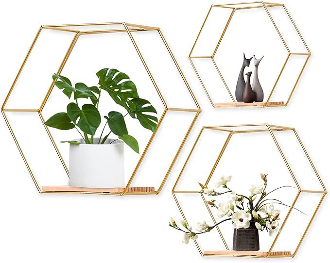 Wall Mounted Hexagonal Floating Shelves Set of 3 in Different Sizes, Modern Metal Wall Shelf, Sim... | Amazon (US)