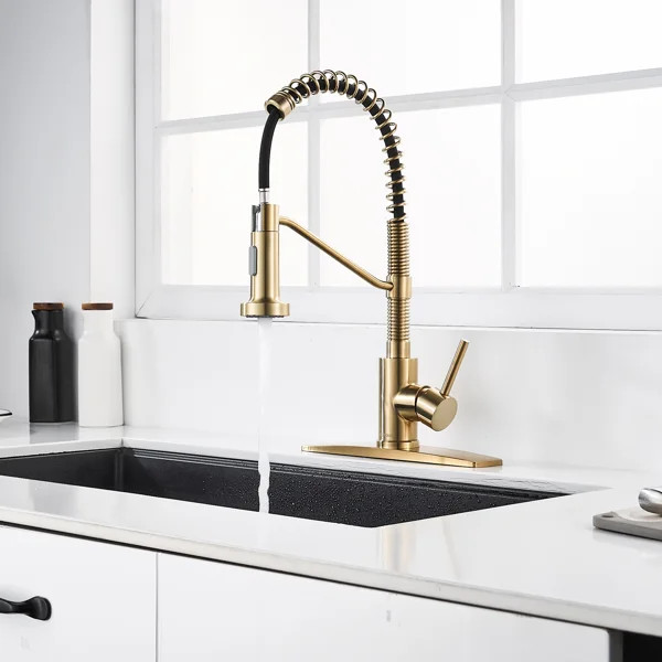WW007G Pull Down Single Handle Kitchen Faucet with Accessories | Wayfair Professional