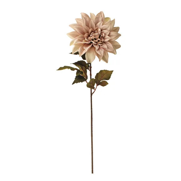 Lustre Dahlia Champagne Single Stem 80cm | Dunelm (migrated)