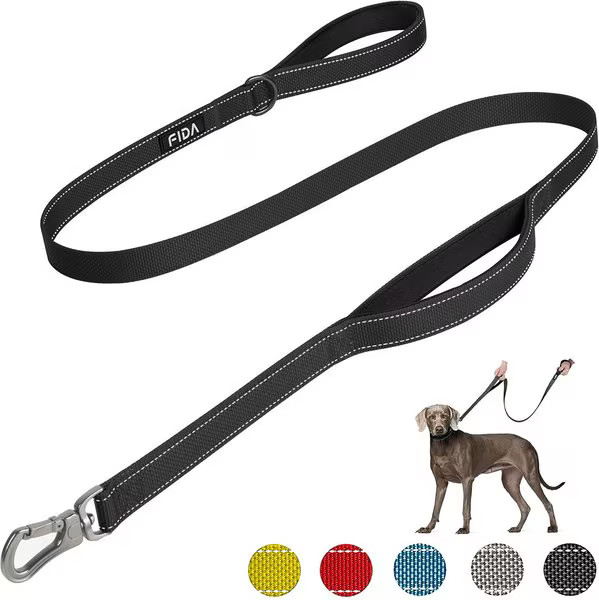 FIDA Leash with Integrated Traffic Handles Dog Leash, 5-ft long, 1-in wide, Black | Chewy
