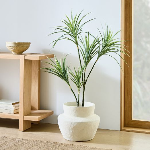 Faux Potted Dracaena Plant | West Elm (US)