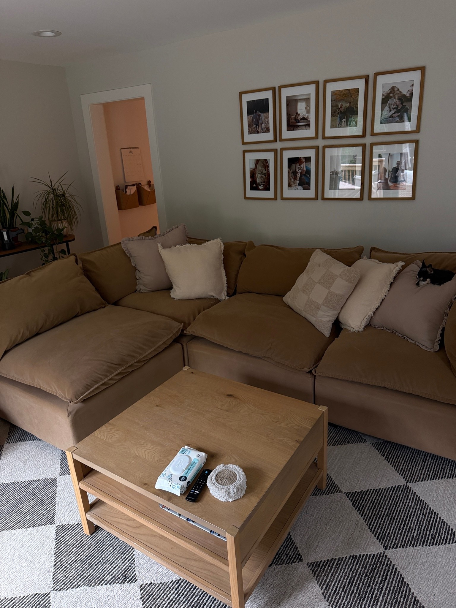 our Kova Pillow couch is on sale! the most comfortable couch and so easy to clean!

color |  camel velvet

#LTKHome #LTKSaleAlert