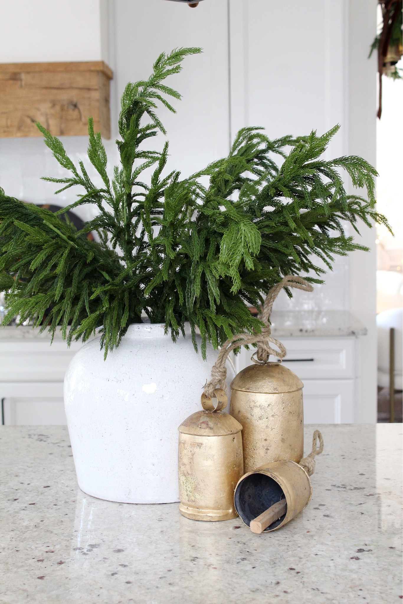 Vase, Norfolk stems, rustic bells 

#LTKHoliday #LTKHome #LTKSeasonal