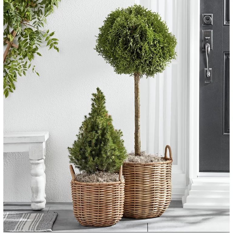 Better Homes & Gardens Assorted Round Beige Resin and Rattan Plant Planter (2 Pieces) with Draina... | Walmart (US)