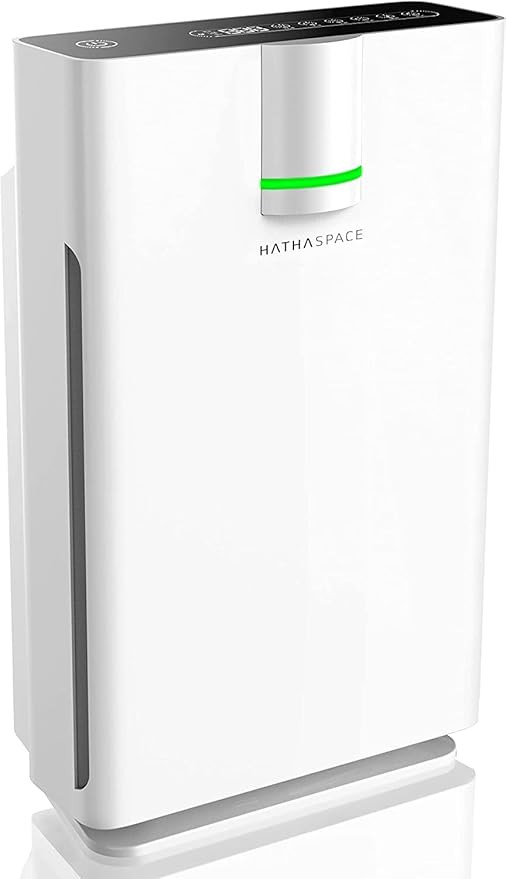HATHASPACE Smart Air Purifiers for Home, Large Room - HSP002, 2.0 - True HEPA Air Purifier & Filt... | Amazon (US)