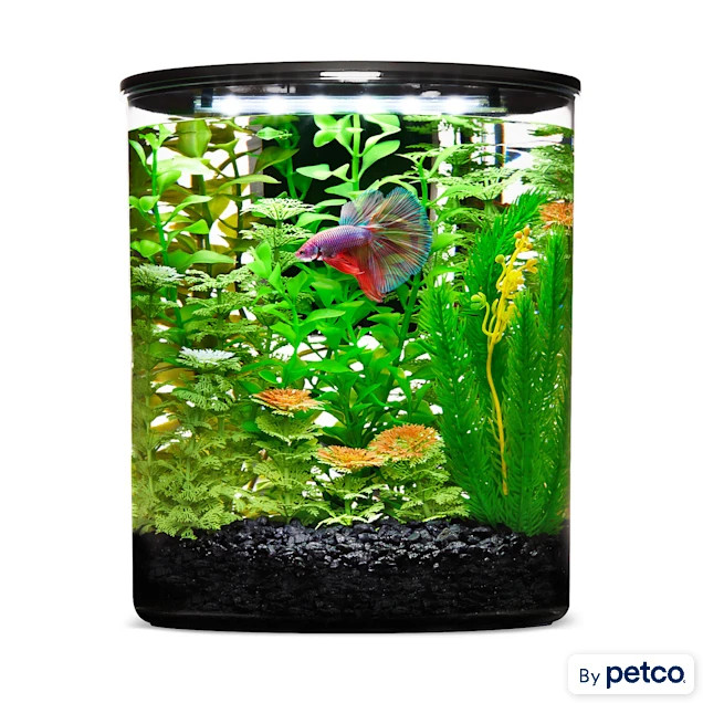 Imagitarium Plastic Cylinder Betta Aquarium, 2.5 Gallon | Petco