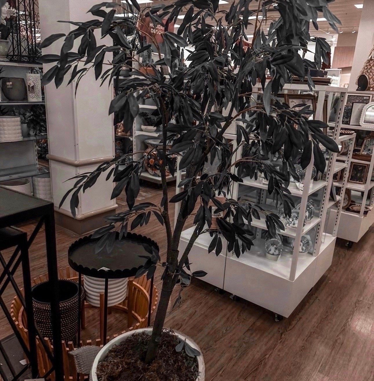 Found the perfect "forever" greenery! 🌿 This olive tree adds that high-end designer look without the maintenance. Perfect for filling that empty corner in your living room or entryway.

#LTKHome