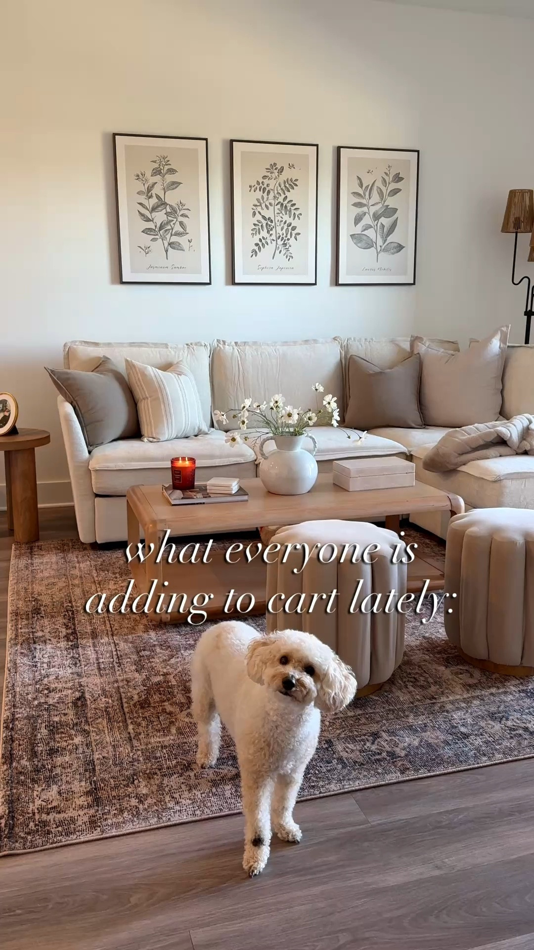 Weekly Amazon favorites! Loving this new 3 piece art set 😍🙌🏽 

Amazon home finds, Amazon home decor 

#LTKSeasonal #LTKSaleAlert #LTKHome