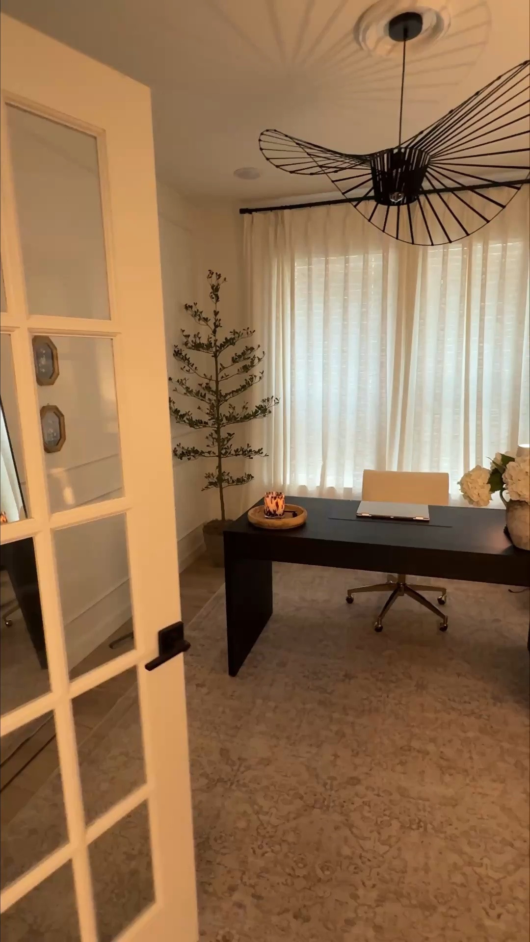 The prettiest 7ft shady lady olive tree from Amazon!