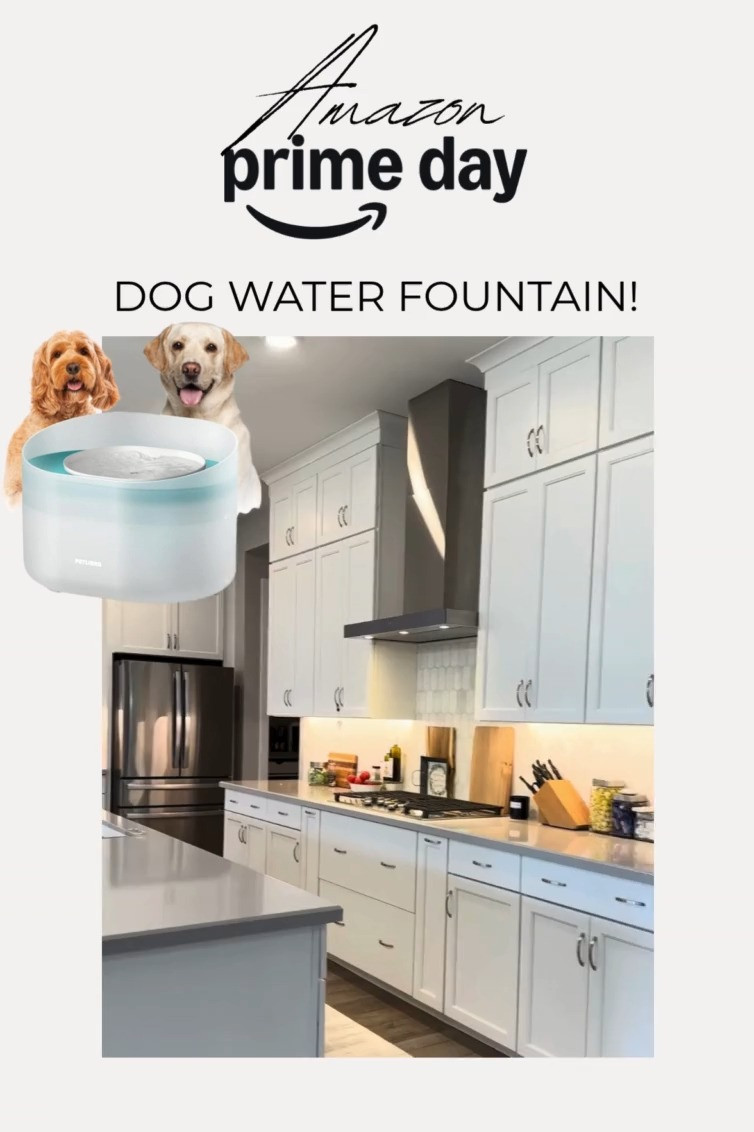 Highly Requested Pet Water Fountain is on sale!  

 #LTKHome #LTKFindsUnder50 #LTKPets