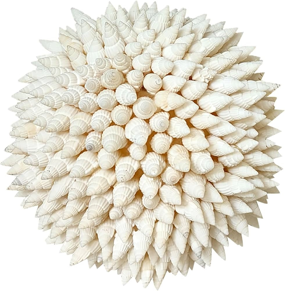 4 Inch White Sea Shells Balls Nautical Handmade Home Wedding Dining Table Beach Decor | Amazon (US)