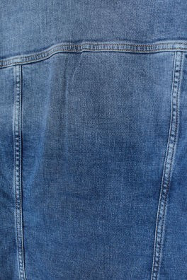Denim Jacket | H&M (US + CA)