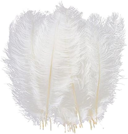 AWAYTR 10pcs Natural Ostrich Feathers for Wedding Centerpieces Home Decoration (10-12 inch, White... | Amazon (US)