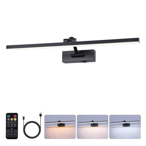BRIVOLART Battery Operated Picture Light with Remote,Wireless Dimmable Art Lights for Paintings Rechargeable Gallery Light Artwork Lighting for Canvas, Portrait (Black,23.6 Inch) | Amazon (US)