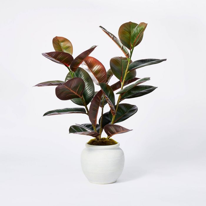 6&#34; x 4.5&#34; Artificial Rubber Plant in Ceramic Pot Purple - Threshold&#8482; designed with ... | Target
