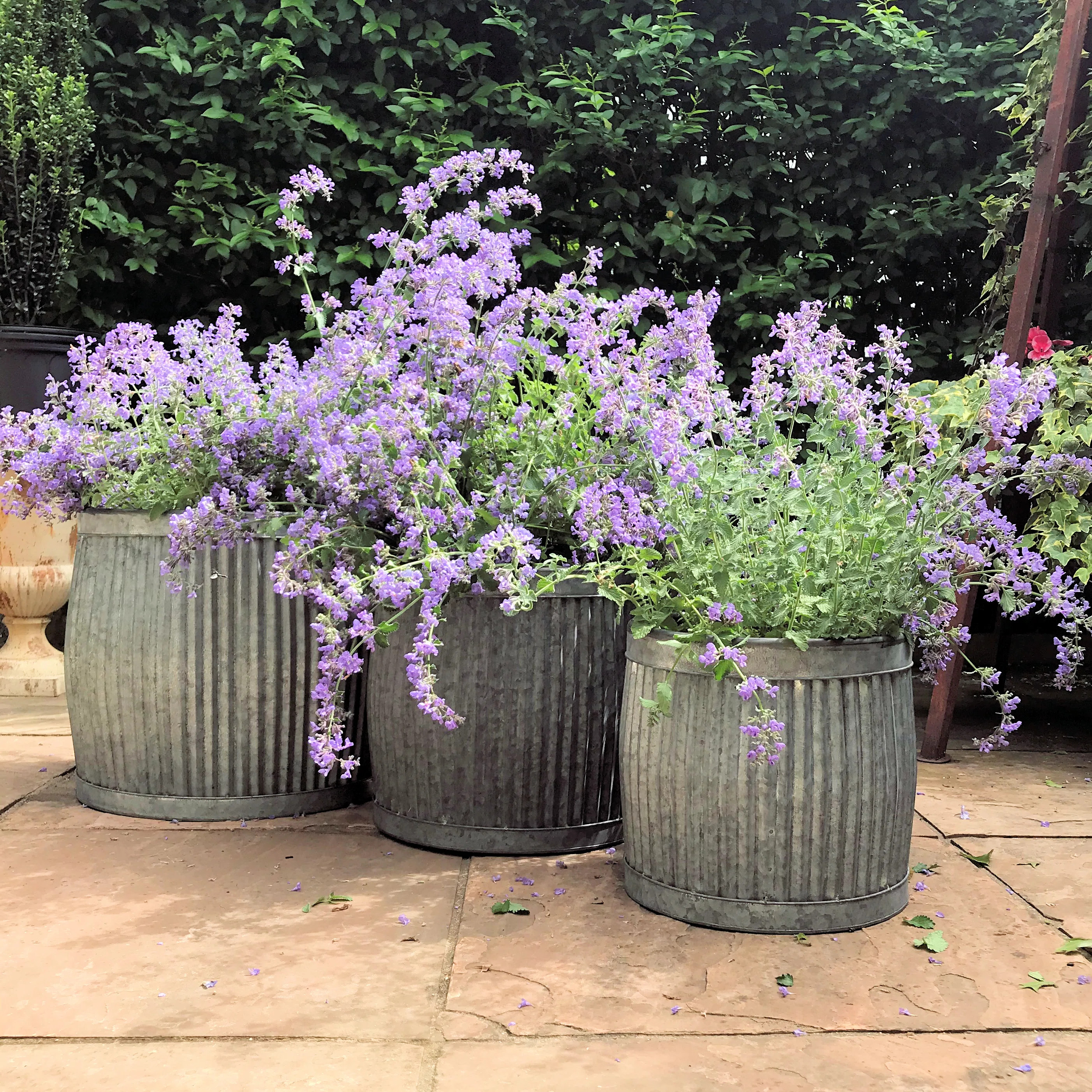 Gracie Oaks Armanno 3-Piece Galvanized Metal Pot Planter Set & Reviews | Wayfair | Wayfair North America