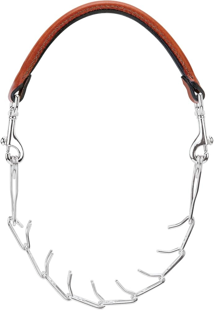 Weaver Leather Pronged Chain Goat Collar | Amazon (US)