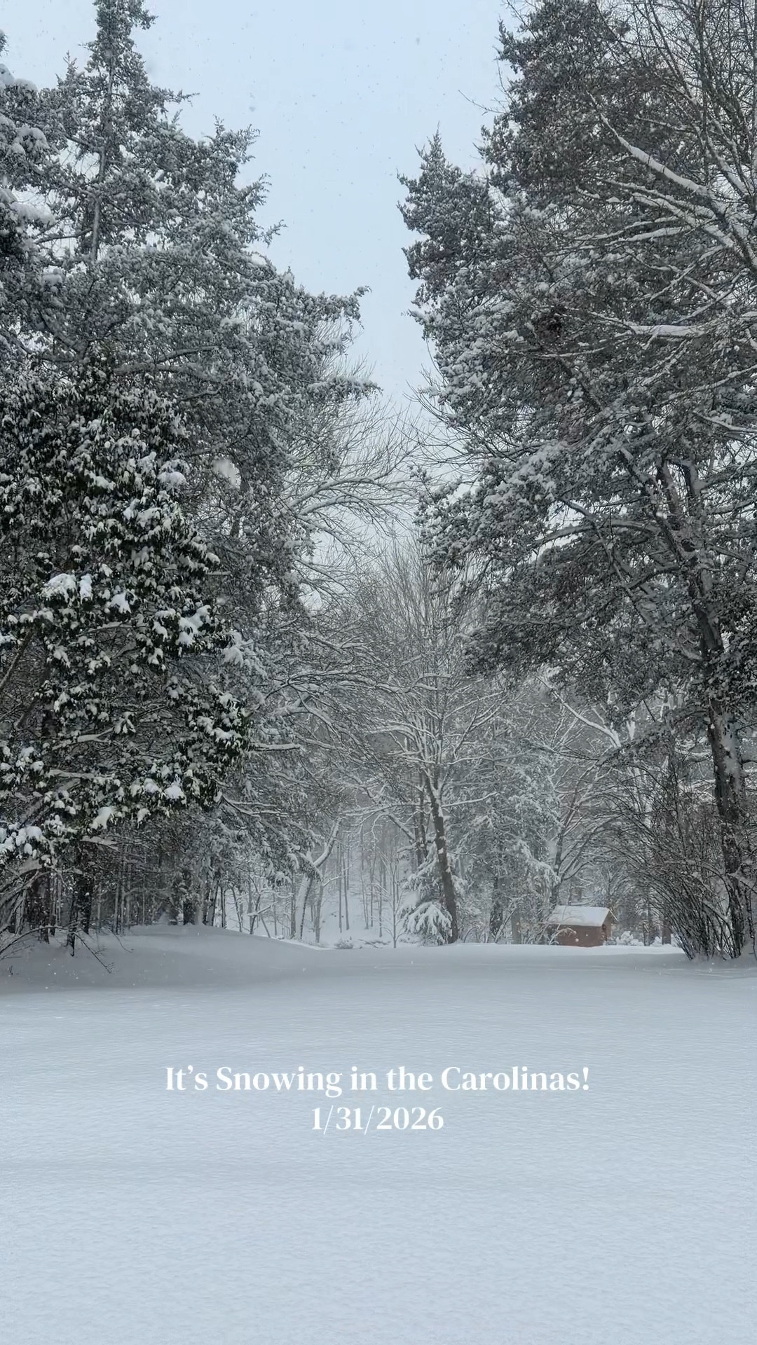 North Carolina is a winter wonderland! ❄️ So much fluffy snow—I’ve never seen this much in the South before! 🤯 Completely soaking in the magic of this wild winter storm! 🌨️✨🤍 #northcarolina #winterstorm #winterwonderland #snowstorm

#LTKvlog #LTKdayinmylife #LTKSeasonal
