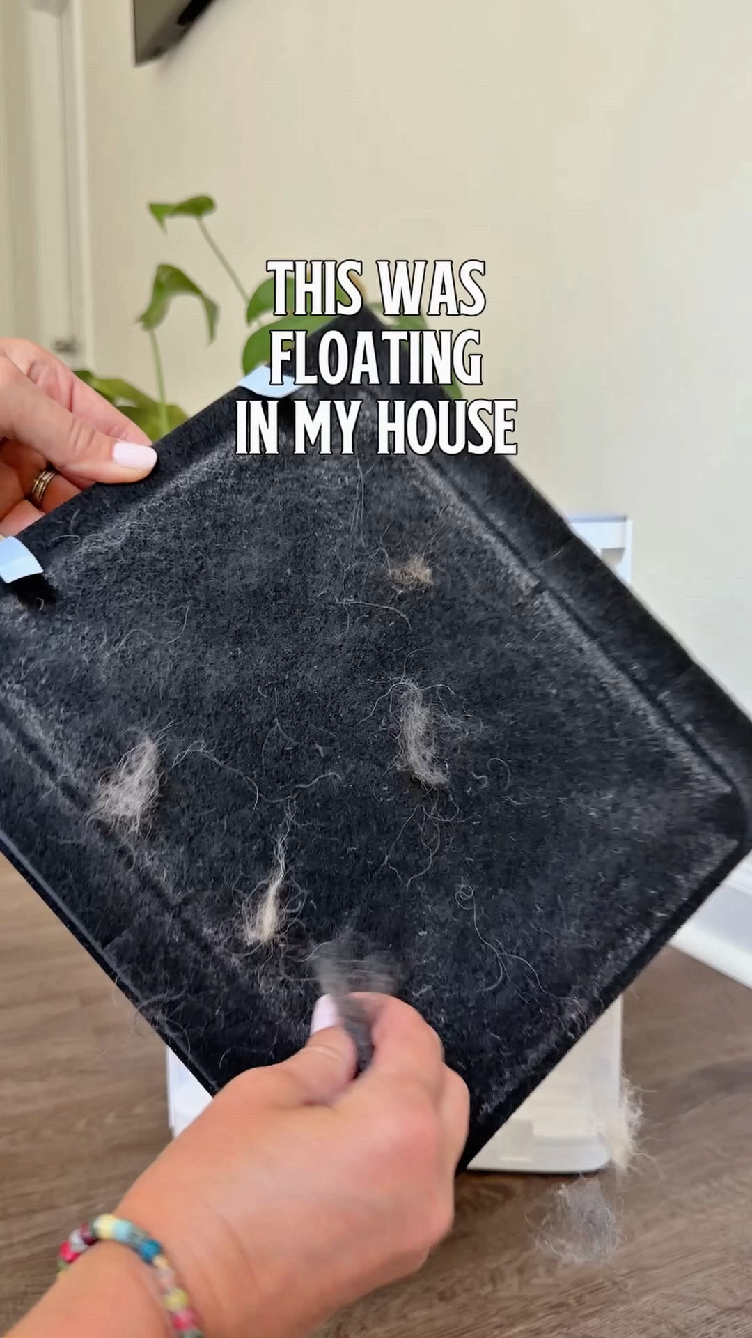 Amazon Find for home with pets

#LTKOver40 #LTKHome #LTKmomlife