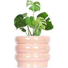 10 inch Ceramic Plant Pots for Indoor Plants, Rainbow Pearl Glaze Planter with Planters for Plant... | Amazon (US)