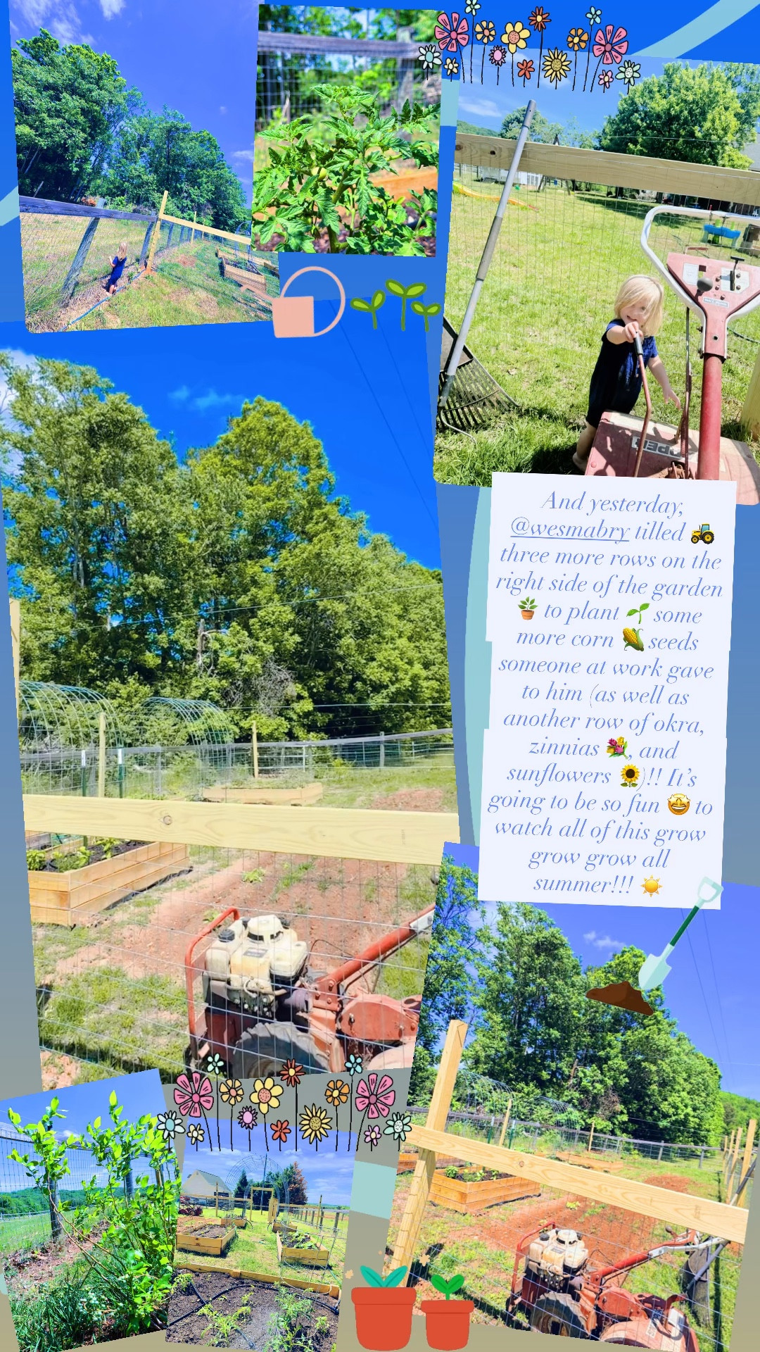 And yesterday, @wesmabry tilled 🚜 three more rows on the right side of the garden 🪴 to plant 🌱 some more corn 🌽 seeds someone at work gave to him (as well as another row of okra, zinnias 💐, and sunflowers 🌻)!! It’s going to be so fun 🤩 to watch all of this grow grow grow all summer!!! ☀️ 