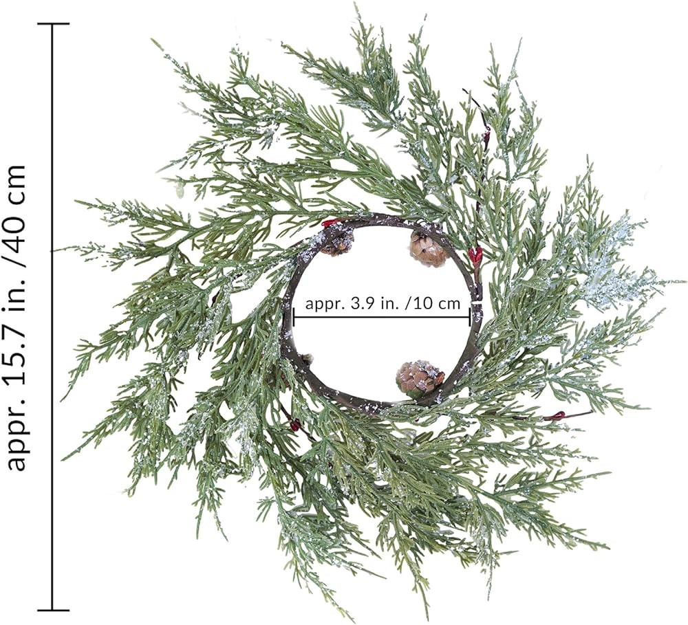 $15.99                      $15.99 | Amazon (US)