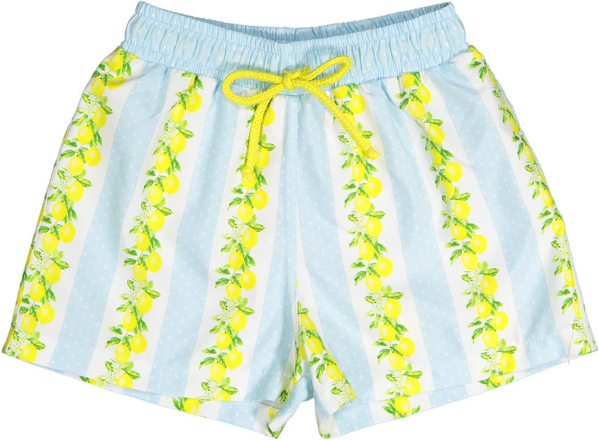 Lemon Tree Trunks | The Little Lane Shop