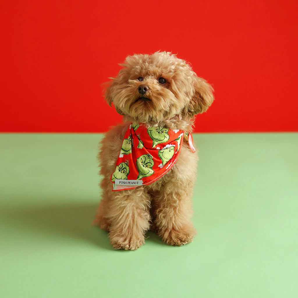 Red Dog Bandana | Dr. Seuss The Grinch | Posh Peanut