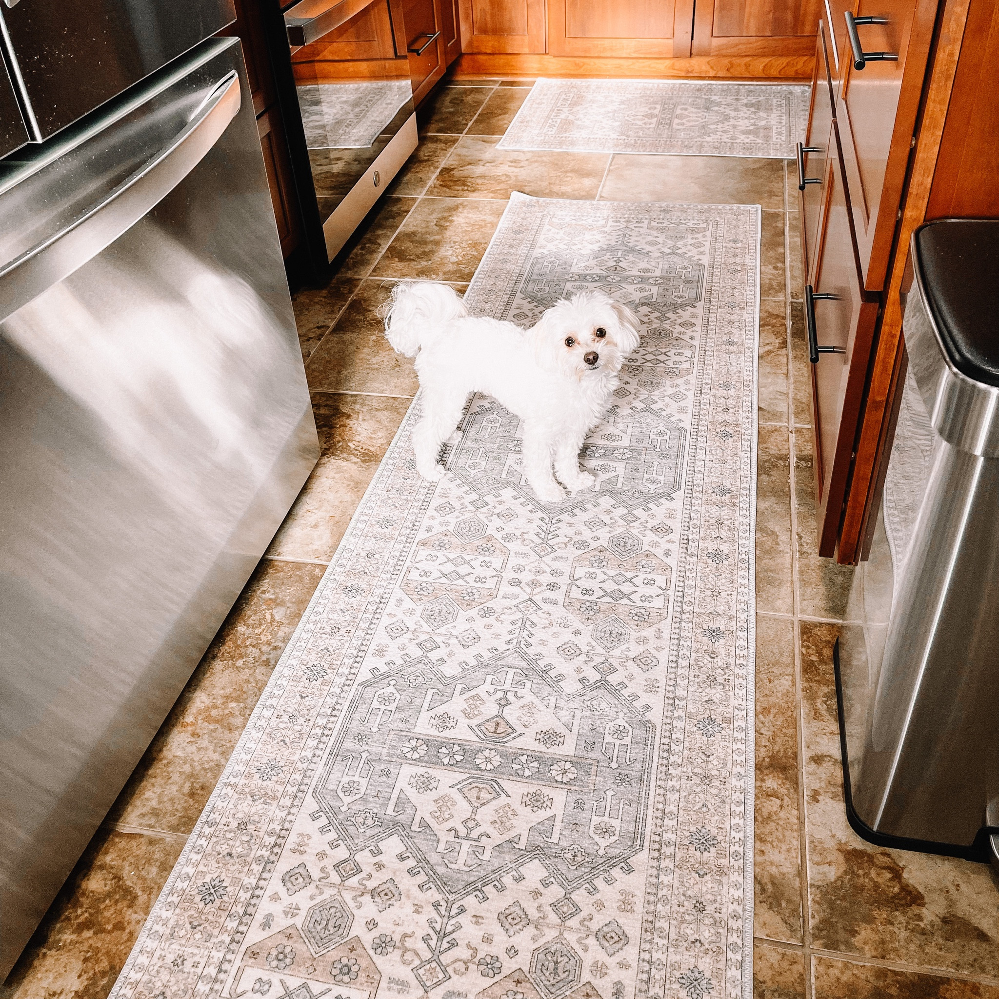 I love finding a good “dupe”! I have wanted a Ruggable for a long but cannot justify spending the money. So when I came across these I had to get them. They are also washable. 🙌🏻

Ruggable dupe
Kitchen rugs
Area rugs
Washable rugs
Throw rugs
Kitchen decor 
Blue kitchen rugs
Neutral kitchen deco


#LTKunder100 #LTKFind 

#LTKhome