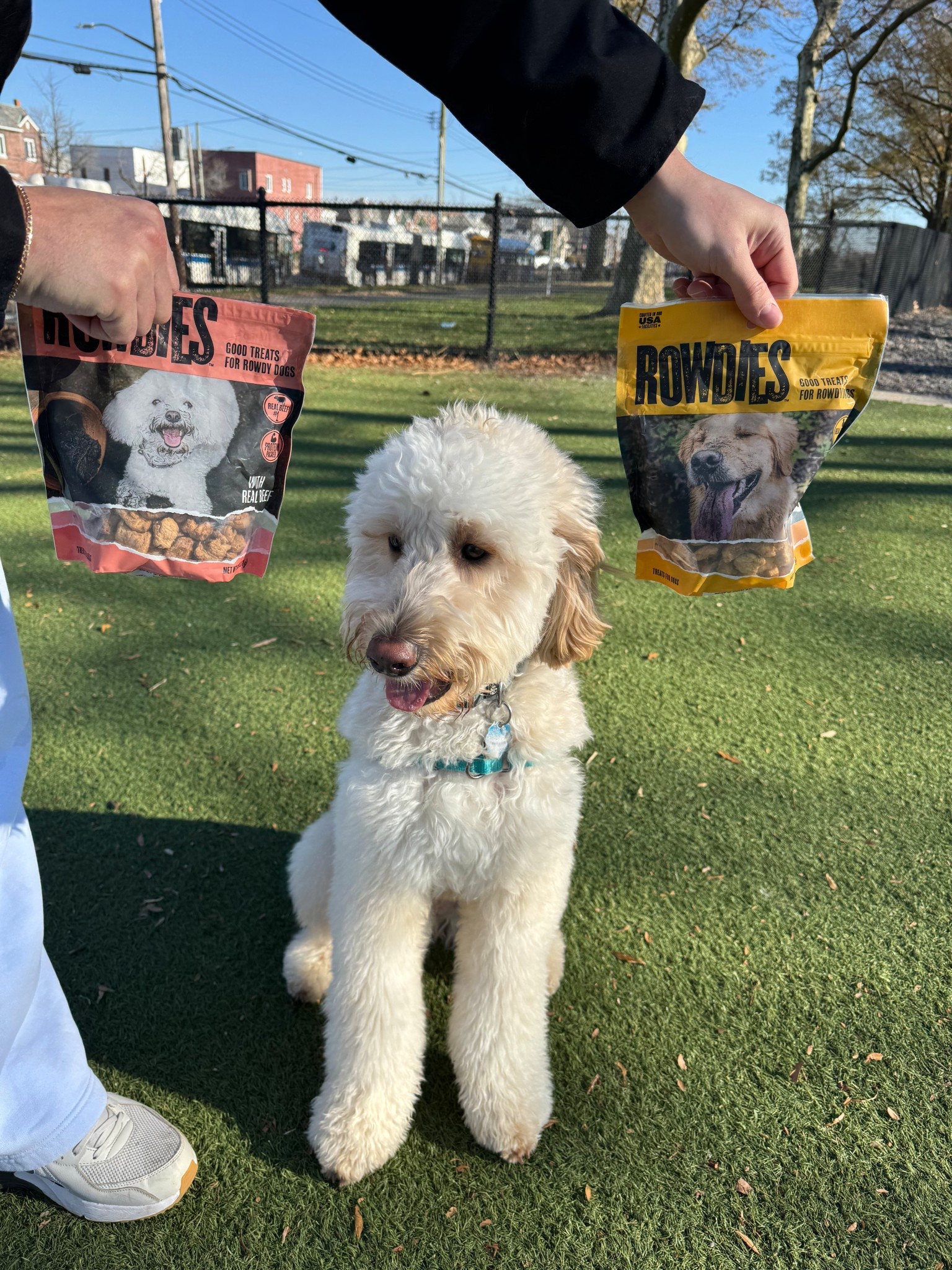 #AD Wanna get Rowdie with us? 👀🐶 Check out our favorite new treats!

#ad #RowidesDogTreats #RowdiesPartner  GetRowdies
