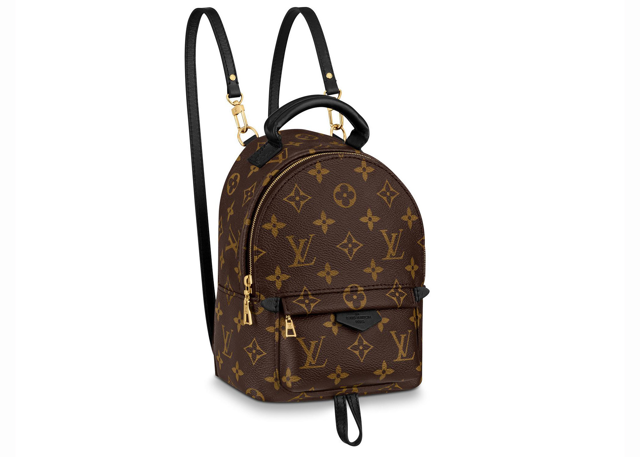 Louis Vuitton Palm Springs Monogram (Updated Zipper) Mini Brown Backpack | StockX