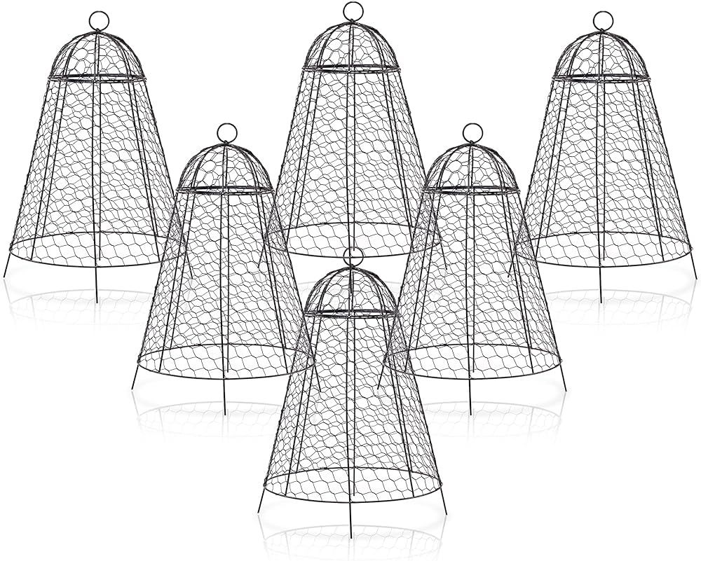 Garden Cloche Plant Protectors from Animals Chicken Wire Cloche Dome for Plants to Protect from D... | Amazon (US)