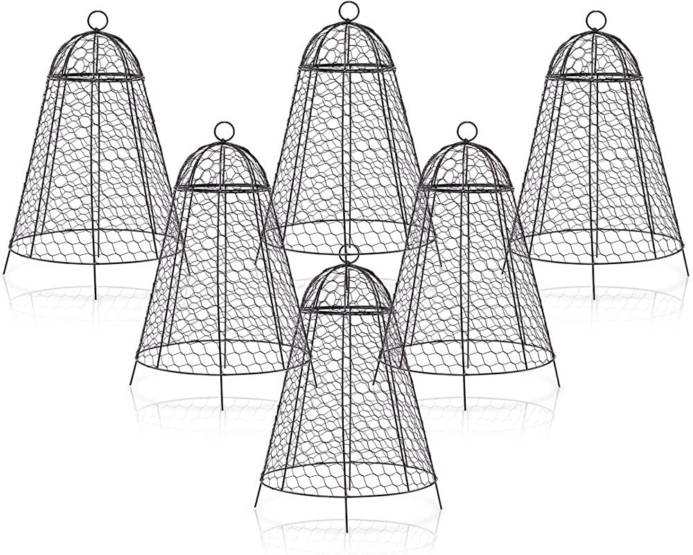 Garden Cloche Plant Protectors from Animals Chicken Wire Cloche Dome for Plants to Protect from D... | Amazon (US)