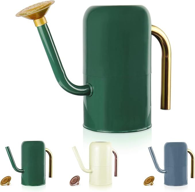 0.6 Gallon Metal Watering Can with Brass Colored Removable Spout and Handle, Nice Galvanized Stee... | Amazon (US)