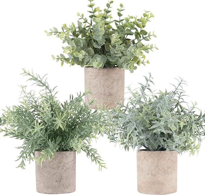 Der Rose 3 Pack Mini Potted Fake Plants Artificial Faux Eucalyptus Plants for Home Office Desk Ro... | Amazon (US)
