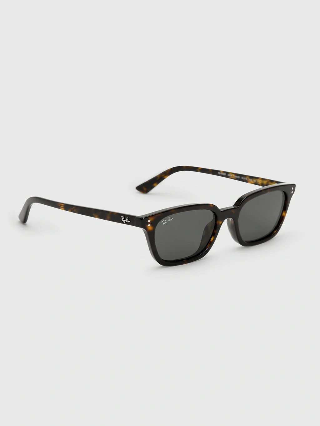 Ray-Ban Zaya Bio-Based Sunglasses | Saint Bernard