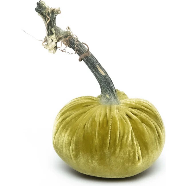 Hot Skwash | Pumpkin, Leaf, | Silk (Size 8"") | Maisonette | Maisonette