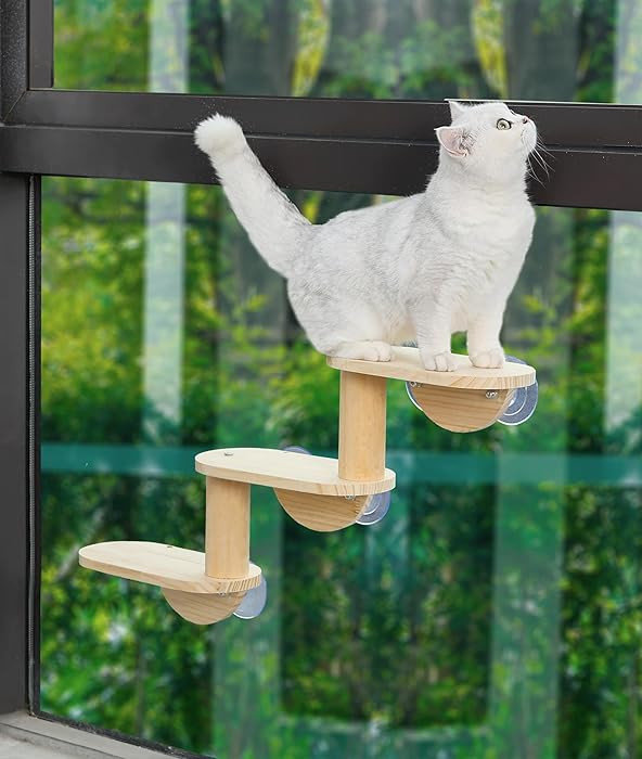Cat Window Ladder 3-Levels for Indoor Cats Climbing Wood Window Shelf Cats Play and Watch Birds | Amazon (US)