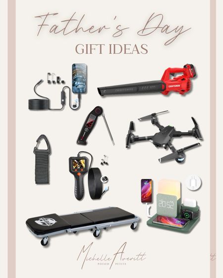 Father’s Day gift ideas that he will use and love! Leaf blower, scope camera, rolling work bench, drone, meat thermometer 


#LTKGiftGuide #LTKSeasonal