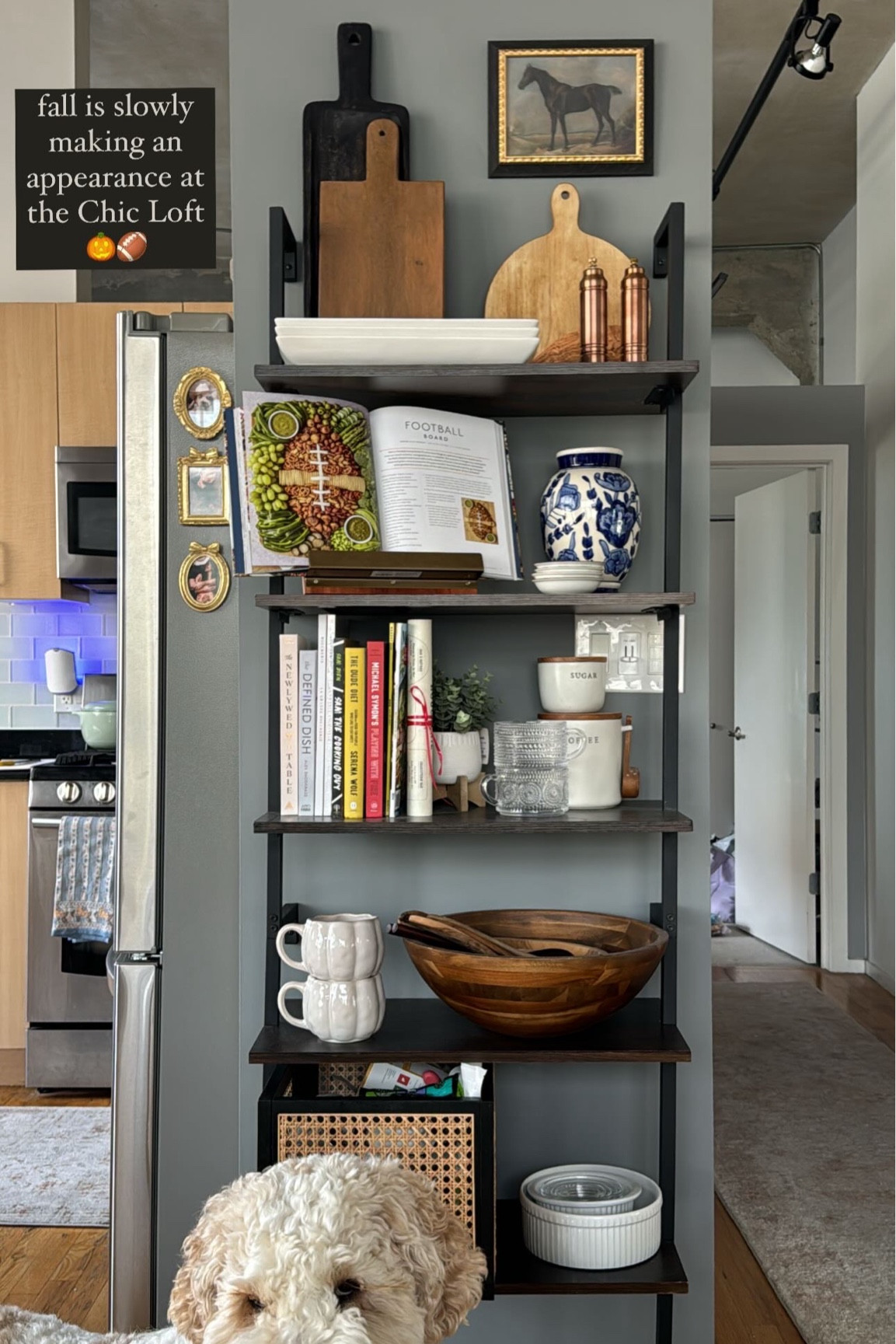 Linking as much of our shelf as possible! Love the seasonal touches with the charcuterie board book and pumpkin mugs! I’ll also add pumpkins in when October 1st hits! 

#LTKSeasonal #LTKHome #LTKStyleTip