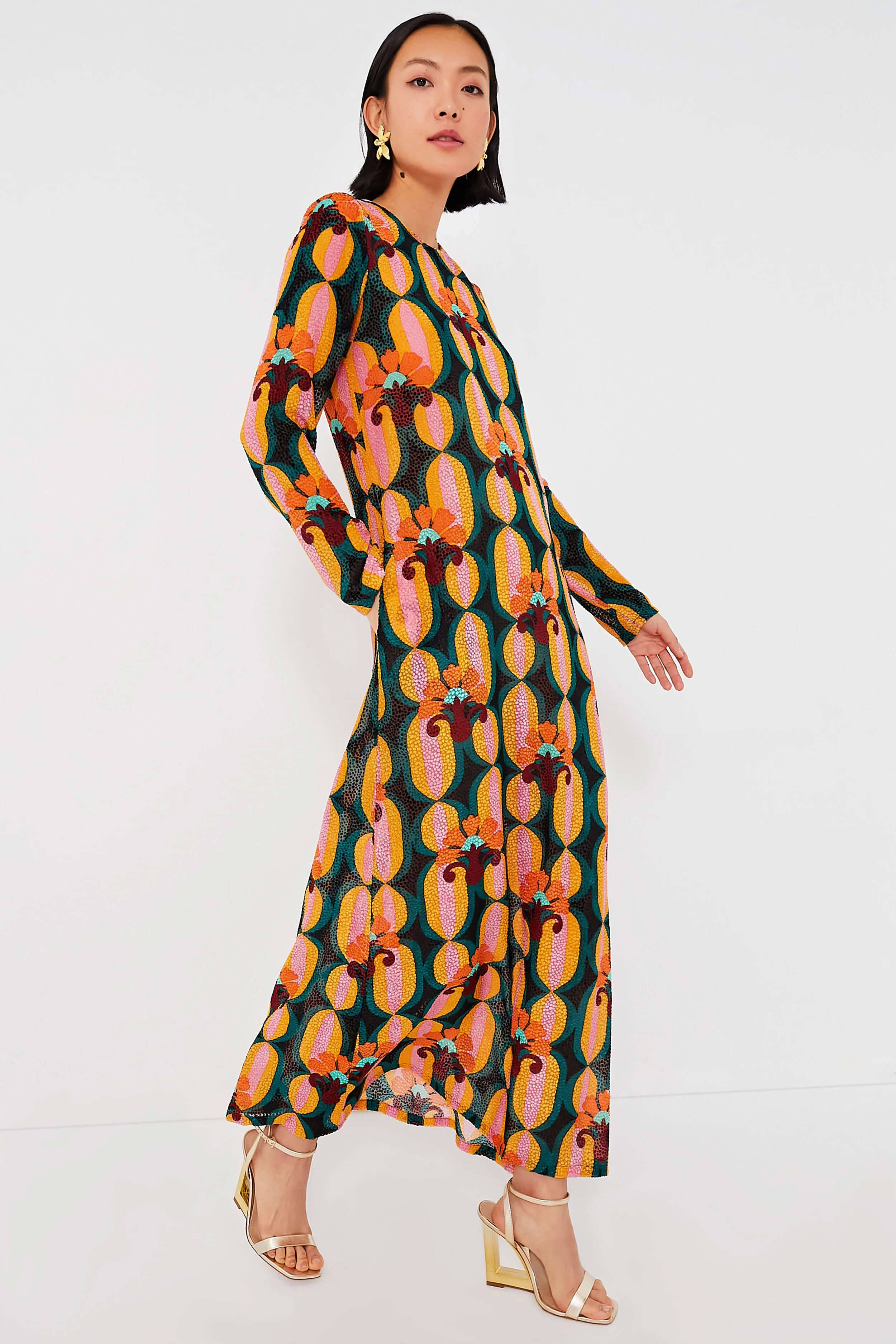 Arcturus Long Sleeve Swing Dress | Tuckernuck (US)