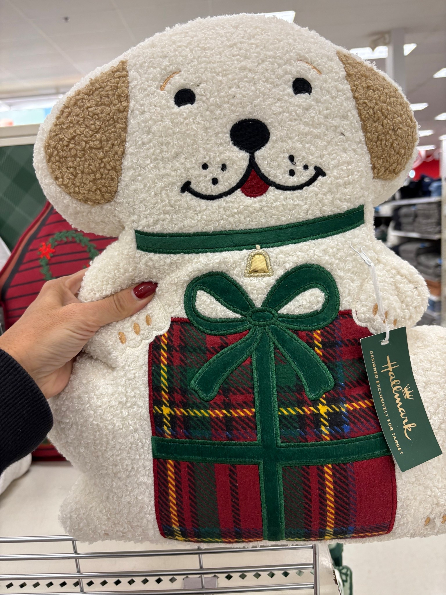 Festive holiday dog pillow 

#LTKFindsUnder50 #LTKHome #LTKHoliday