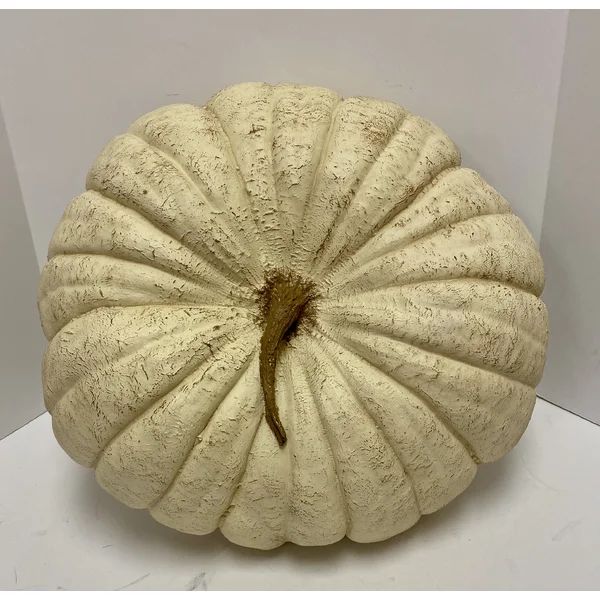 Jumbo Pumpkin | Wayfair North America