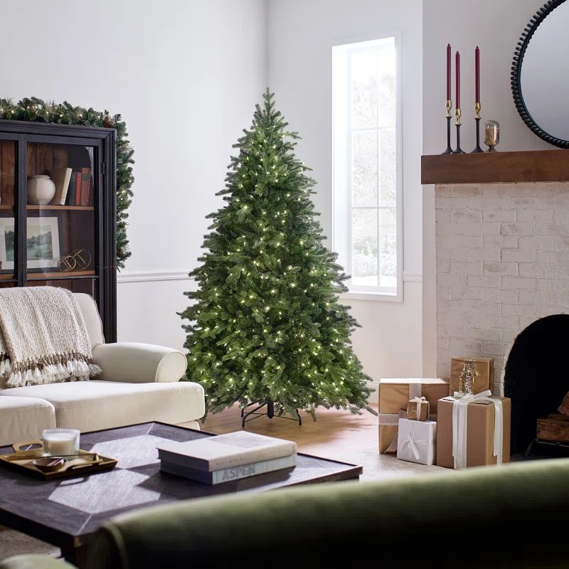 Princeton Fir Lighted Christmas Tree | Wayfair North America